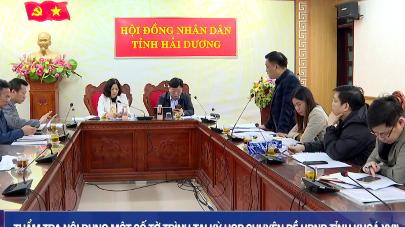 Thẩm tra nội dung một số tờ trình tại Kỳ họp chuyên đề HĐND tỉnh khoá XVII